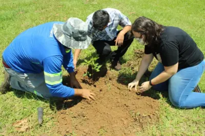 Equipe técnica de Responsabilidade Social participa de capacitação ambiental