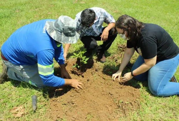 Equipe técnica de Responsabilidade Social participa de capacitação ambiental