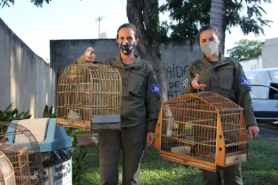 Patrulha Ambiental realiza balanço de ocorrências de janeiro