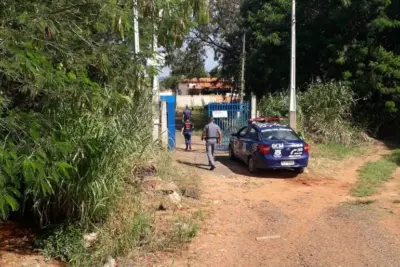 Equipes de fiscalização autuam, multam e notificam estabelecimentos e responsáveis por chácaras