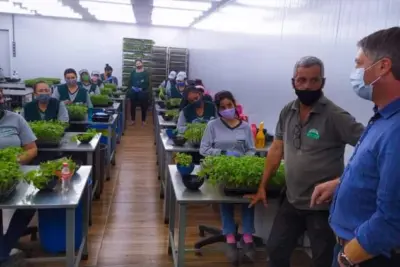 DIA DE TRABALHO NA REGIÃO DO CHÁCARAS ALVORADA