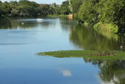 Moradores reclamam de falta de aeradores no lago Lavapés