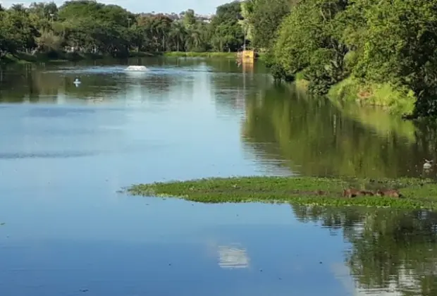 Moradores reclamam de falta de aeradores no lago Lavapés