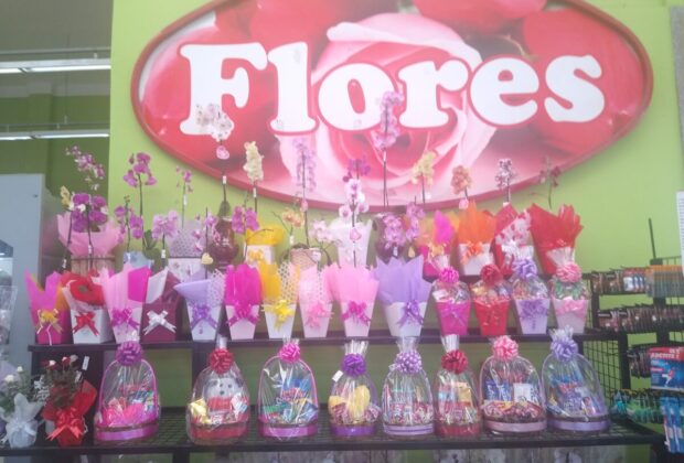 Produtores estão otimistas com a venda de flores e plantas para o Dia das Mães