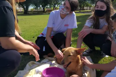 Estudantes da Escola Sesi de Mogi Guaçu fazem doação para associação protetora de animais