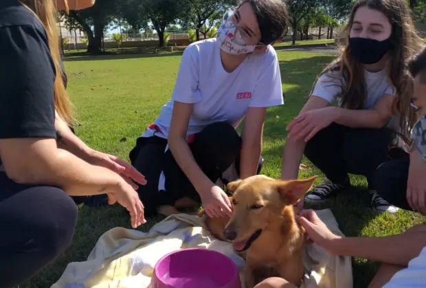 Estudantes da Escola Sesi de Mogi Guaçu fazem doação para associação protetora de animais