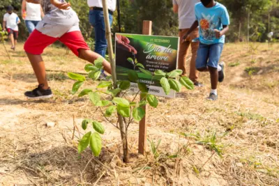 EM COMEMORAÇÃO AO DIA DA ÁRVORE, PREFEITURA DE AMPARO PLANTA 2 MIL MUDAS DE ÁRVORES 