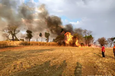 Defesa Civil Contem incêndio após 10 horas de combate