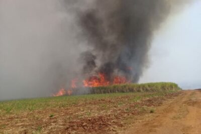 Defesa Civil de Engenheiro Coelho se mobiliza para conter incêndio