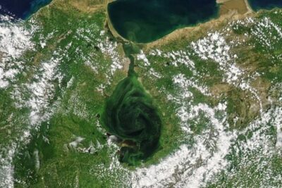 Maior lago da América do Sul está ficando verde