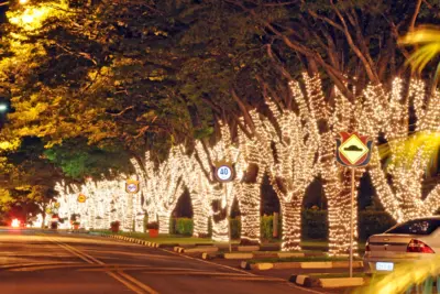 Natal de Holambra terá luzes, decoração especial e apresentações artísticas