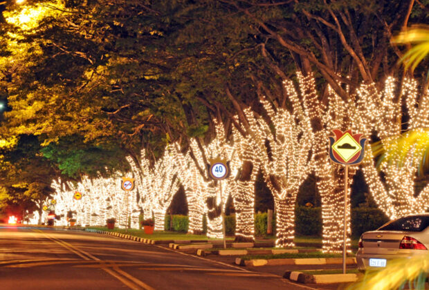 Natal de Holambra terá luzes, decoração especial e apresentações artísticas