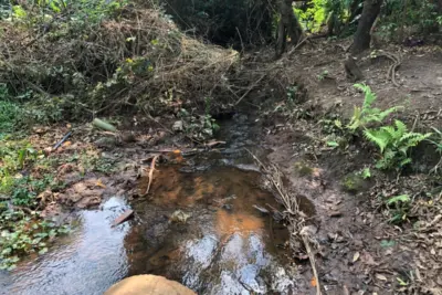 MEIO AMBIENTE COMEÇA DESOCUPAÇÃO DE Áreas de Preservação