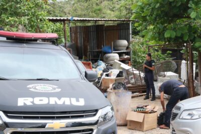 Operação policial recupera peças automotivas e liberta aves silvestres