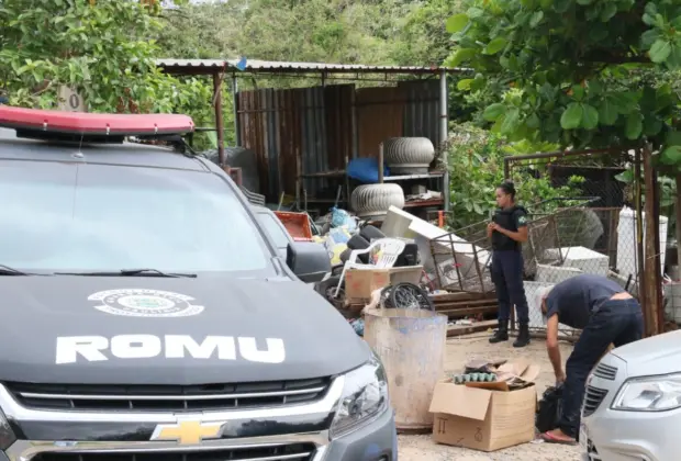 Operação policial recupera peças automotivas e liberta aves silvestres