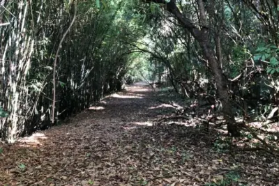 PROJETO ‘TRILHAS DA MOGIANA’ TERÁ CICLOVIA EM TRECHO DE ANTIGO LEITO FERROVIÁRIO ENTRE JAGUARIÚNA E PEDREIRA