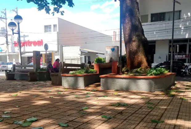 SSM realiza manutenção na praça Padre Armani