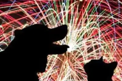 Projeto aprovado na Câmara proíbe fogos de artifício