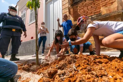 Alunos de Amparo realizam plantio de árvores no centro da cidade
