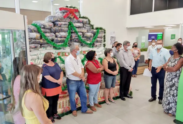 Árvore Solidária arrecada mais de 10 toneladas de alimentos