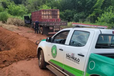 Patrulha Rural recupera caminhão roubado em Engenheiro Coelho