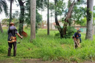 Prefeitura realiza o Programa Cidade Limpa