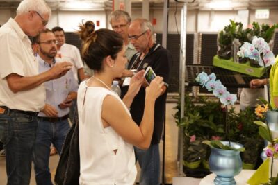 Produtores apresentam novidades em flores e plantas no Veilling Market, que começa nesta quinta-feira