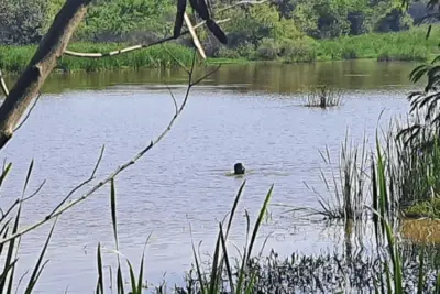 Avô e neto de quatro anos desaparecem em lagoa