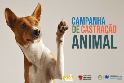 Prefeitura e ONG realizam campanha de castração animal em Engenheiro Coelho