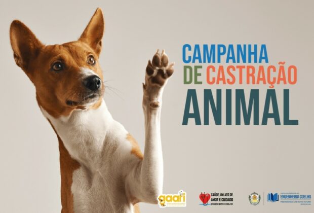 Prefeitura e ONG realizam campanha de castração animal em Engenheiro Coelho