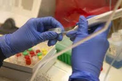 Cientistas relatam avanços na busca de fármacos contra a COVID-19