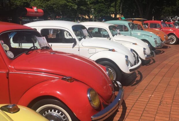 Artur Nogueira 73 anos: Encontro de Air Cooled acontece neste domingo  Com início às 10h, na Lagoa dos Pássaros, evento reunirá cerca de 100 carros antigos originais ou modificados da linha VW a ar
