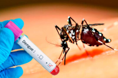 Mais nove casos de dengue são confirmados