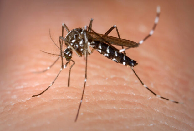 Americana confirma quarto óbito por dengue e investiga outros dois