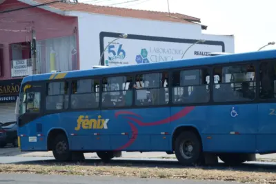 Fênix altera itinerário e horários da linha 39-Centro/Paineira-Sakaida