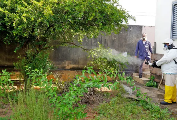 VE inicia nebulização costal na região dos Ypês