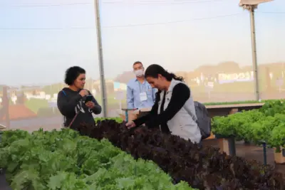 Open Field Day bate recorde de público e horticultores conhecem as novidades da Agristar do Brasil para o setor