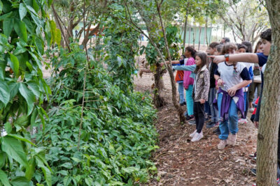 Estudantes participam de reabertura do Parque Chico Mendes