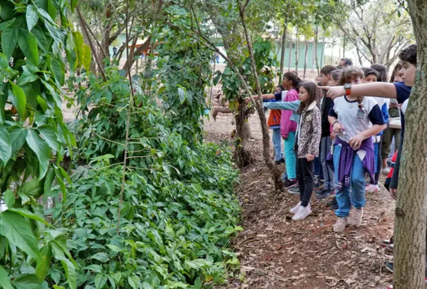 Estudantes participam de reabertura do Parque Chico Mendes