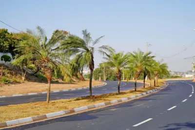 Novo paisagismo é feito na Avenida Luiz Gonzaga de Amoedo Campos