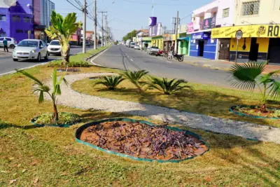 Rotatória na Avenida Bandeirantes recebe novo paisagismo