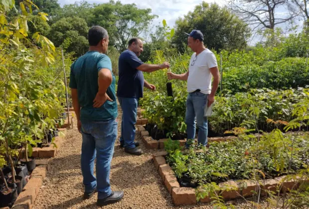 VIVEIRO MUNICIPAL DOA 200 MUDAS DE ÁRVORES EM UMA SEMANA. AS DOAÇÕES CONTINUAM!