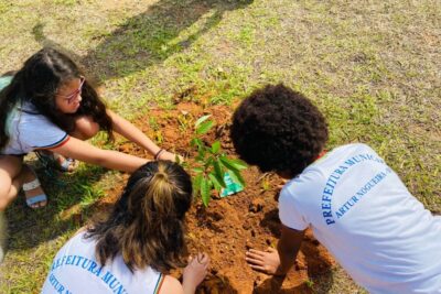 Estudantes da Rede Municipal realizam plantio de mudas em Artur Nogueira