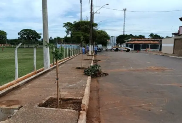 Meio ambiente substitui árvores em Engenheiro Coelho