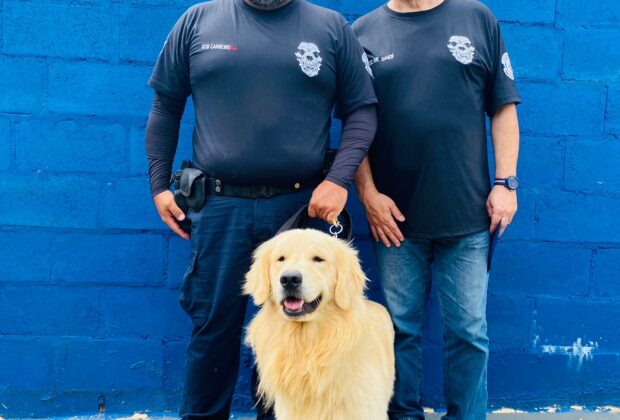 Bons de faro: conheça os agentes caninos da GCM de Artur Nogueira