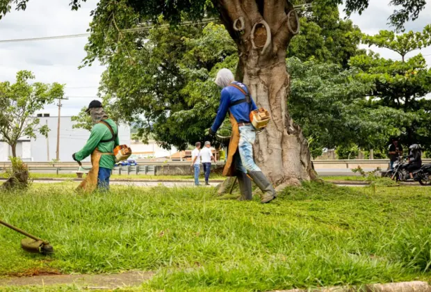 Prefeitura notifica 2.215 proprietários para limpeza de terrenos em Artur Nogueira