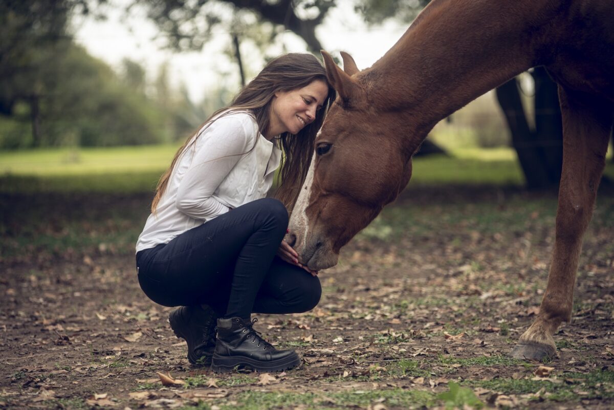 Compreender a linguagem dos cavalos