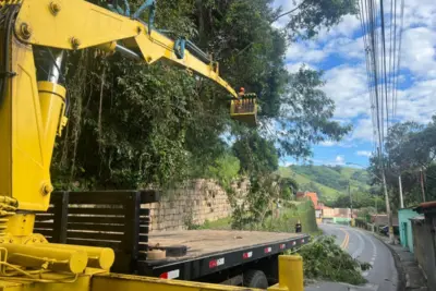 Secretaria de Meio Ambiente de Pedreira realizou poda de árvores na Avenida Joaquim Carlos