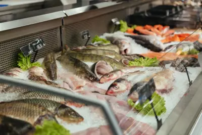 Peixes: saiba como escolher corretamente a proteína para a Quaresma e Semana Santa