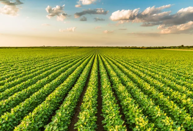 OS ÚLTIMOS 10 ANOS DO NOSSO AGRO